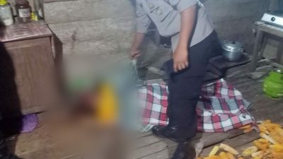 Bejat! Anak Habisi Nyawa Ibunya dengan Ulekan