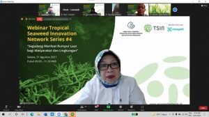 Rumput Laut Adalah Superfood Yang Kaya Antioksidan