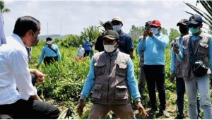 Presiden Jokowi Tanam Mangrove Bersama Masyarakat, Antisipasi dan Mitigasi Perubahan Iklim