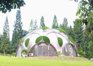 BRIN Benahi Infrastruktur Riset dan Inovasi Kebun Raya