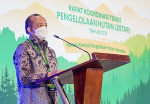 Sektor Usaha Kehutanan Berperan Penting Tingkatkan Ekonomi Dan Penciptaan Lapangan Kerja
