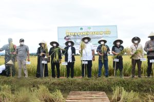 Hadiri Panen Raya HKTI Maros, Chadir Syam : Support Anak Muda Yang Terjun di Sektor Pertanian