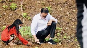 Presiden Jokowi Tanam Pohon Bersama Masyarakat NTB