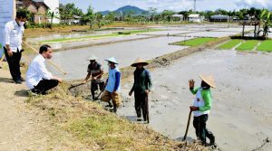 Petani Trenggalek Nantikan Kiprah Generasi Milenial