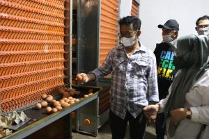 Mentan Pastikan Stok dan Pasokan Telur Ayam Cukup