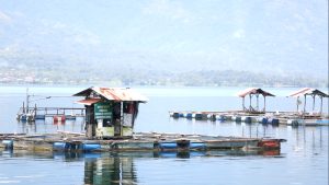 KPK Kawal Upaya Penyelamatan Danau Singkarak