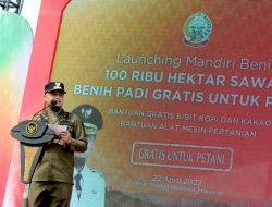 Mandiri Benih, Strategi Gubernur Sulsel Dongkrak Sektor Pertanian