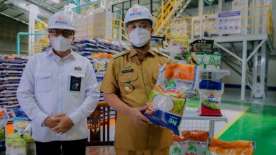 Andi Sudirman : 50% Beras Petani Sulsel Suplai Kebutuhan Bulog Nasional
