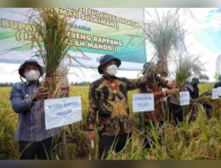 Ekonomi Tumbuh, Gubernur Sulsel : Alhamdulillah, Sektor Pertanian Berperan Besar