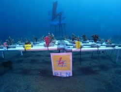 Jaga Kelestarian Biota Laut, PLN Beri Bantuan Konservasi Terumbu Karang
