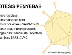 Ini Dugaan Penyebab Hepatitis Akut