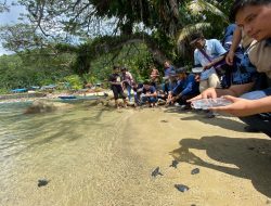 BBKSDA dan Mitra Kerja Tunjukkan Kepedulian Terhadap Konservasi Penyu Lekang