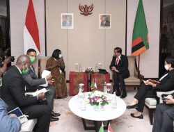 Bertemu Wakil Presiden Zambia, Presiden Jokowi Bahas Penguatan Kerja Sama Ekonomi