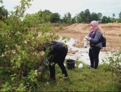 Hasil Lab BBVeteriner Maros Pastikan Kematian Sapi di Sulsel Negatif Antraks