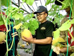 Pemerintah Dukung Pengembangan Komoditas Unggulan Daerah untuk Menjaga Ketahanan Pangan
