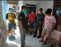 Gakkum LHK Gagalkan Perdagangan Satwa Liar Dilindungi Di Situbondo
