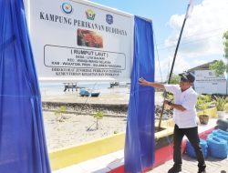 Hari Laut Sedunia, Mentri KPP Genjot Produktivitas Rumput Laut