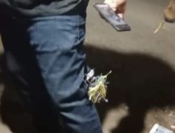 Video Seorang Pengendara Menjadi Korban Pembusuran di Kabupaten Maros