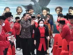 Presiden Jokowi Dorong Gotong Royong Bangun Kemandirian Pangan