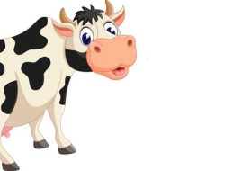 Kasus PMK Marak, Bupati Maros Tegaskan Lakukan Lockdown