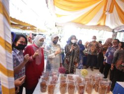 Makassar Masuk 3 Besar Nasional, Kepala BKKBN Sulsel: Terima Kasih Bu Wawali