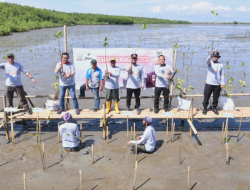 Bersama Pelajar dan Masyarakat, Gubernur Andi Sudirman Tanam 35.300 Batang Mangrove