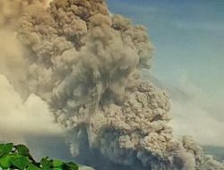 BNPB : Letusan Gunung Semeru Tidak Sebabkan Tsunami