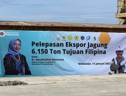 Jagung Sulsel Diekspor ke Filipina Senilai Rp 30,43 M