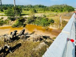 Presiden Tekankan Pembangunan Infrastruktur Harus Ramah Lingkungan