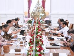 Pemerintah Targetkan Produksi Baterai Mulai pada 2024