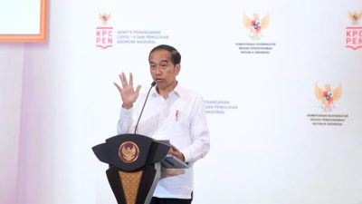 Presiden Paparkan Sejumlah Langkah Sukses Pemerintah Tangani Pandemi