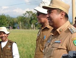 Pemkab Maros Kerahkan Bantuan Perangi Serangan Burung Pipit