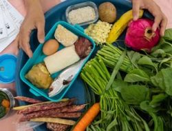 Cegah Stunting Pada Anak Dengan Protein Hewani