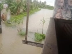 Maros Banjir Lagi, Petani Sawah dan Tambak Merugi