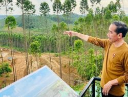 Presiden: 2024 Upacara di IKN