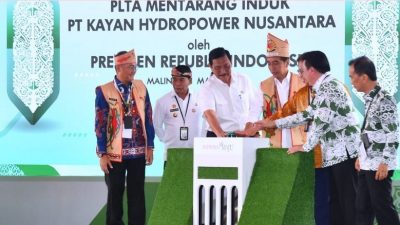 Presiden Dukung Transformasi Indonesia Menuju Ekonomi Hijau