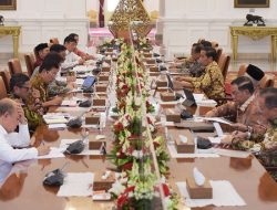 Presiden Jokowi Minta Mentan Revisi Aturan Pupuk Bersubsidi