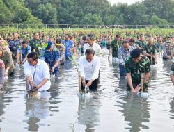 Presiden Apresiasi Gerakan Rehabilitasi Hutan Mangrove di Tanah Air