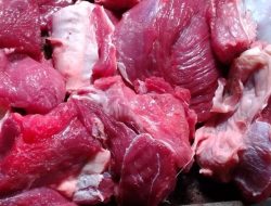 Manfaat Daging Kambing dan Susunya yang Keren!