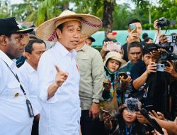 Indonesia Terbuka untuk Kerja Sama Hilirisasi dengan PNG