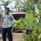 Screenshot 2023-07-05 at 10-36-12 Gubernur Andi Sudirman Mari ki Hijaukan Lingkungan Selamatkan Bumi