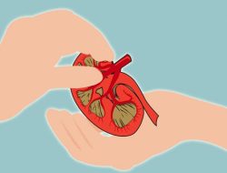 Polri Ungkap Oknum Imigrasi Beri Jalur Khusus Korban Penjualan Ginjal