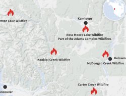 Kebakaran Hutan Melanda British Columbia: Kanada Kirim Bantuan Bersenjata