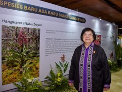 Penemuan Spesies Baru: Harapan dan Peradaban Baru dalam Konservasi Indonesia