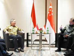 Perkuat Kerja Sama Indonesia-Singapura Melalui Economic Bilateral Working Group