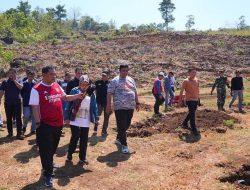 Bupati Maros Dukung Program Pengembangan Tanaman Pisang untuk Tingkatkan Ketahanan Pangan