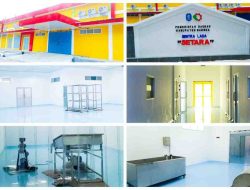 Indonesia Perkuat Keunggulan Rempah melalui Inisiatif Hilirisasi Lada