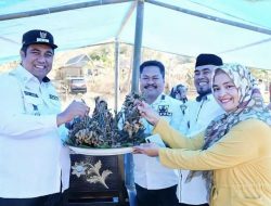 Bupati Maros Panen Kacang Tanah Bersama Warga Desa Sawaru
