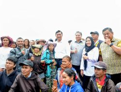 Pemerintah Fokus Peningkatan Ketahanan Pangan Nasional Melalui Proyek Food Estate