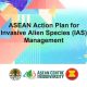 Rencana Strategis Penanganan Jenis Asing Invasif di Regional ASEAN